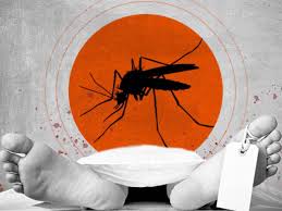 10 people die of dengue in 24 hours, 1069 hospitalized